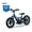 Blue, variant on Lightweight Electric Dirt Bike for Kids, 170W Racing Grade Motorcycle for Ages 3-6, Detachable Battery, Safe Speeds up to 10 mph, 12 inch Tires, Red