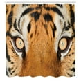 thumbnail image 3 of Ambesonne Orange Black Shower Curtain, Tiger Eyes Wild, 69"Wx70"L, Orange Black, 3 of 5