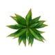 thumbnail image 5 of Suculentas artificiales Advancent planta grande de Aloe 21 hojas de plástico, 5 of 6