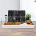 thumbnail image 4 of Reptile Tank Background Rock Board Reptile Tank Decorative Backdrop Background, 4 of 9