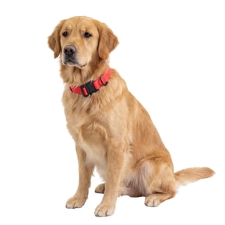 DOGWONG Collier pour chien rouge avec nœud papillon - Rouge bleu à
