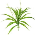 thumbnail image 1 of Planta artificial de orquídea Cymbidium, hojas y flores, ramo de ramas de orquídea Cymbidium falsas para decoración de jardín y hogar., 1 of 5