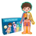 thumbnail image 4 of Early Education Toys Human Body Model for Kids Anatomy Puzzle Montessori Learning Tool for Understanding Muscles and Skeleton for Ages 3 and Up, 4 of 7
