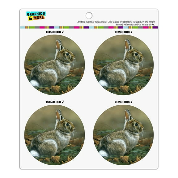 Cottontail Rabbit Bunny Refrigerator Fridge Locker Vinyl Circle Magnet Set