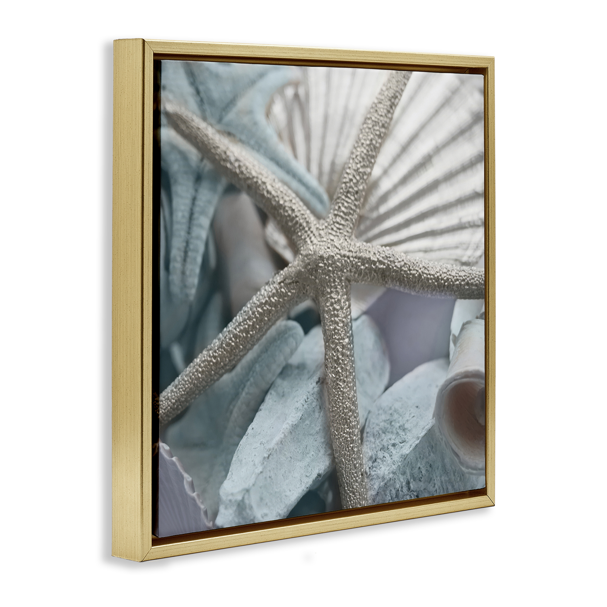 Stupell Industries Seashells & Starfish Nautical & Beach Photography Gold Floater Framed Canvas Art Print Wall Art, 25 x 25
