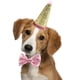 thumbnail image 4 of Conjunto lindo de sombrero de cono y pajarita para fiesta de cumpleaños para mascotas con diadema ajustable y adorno de pompones, 4 of 5