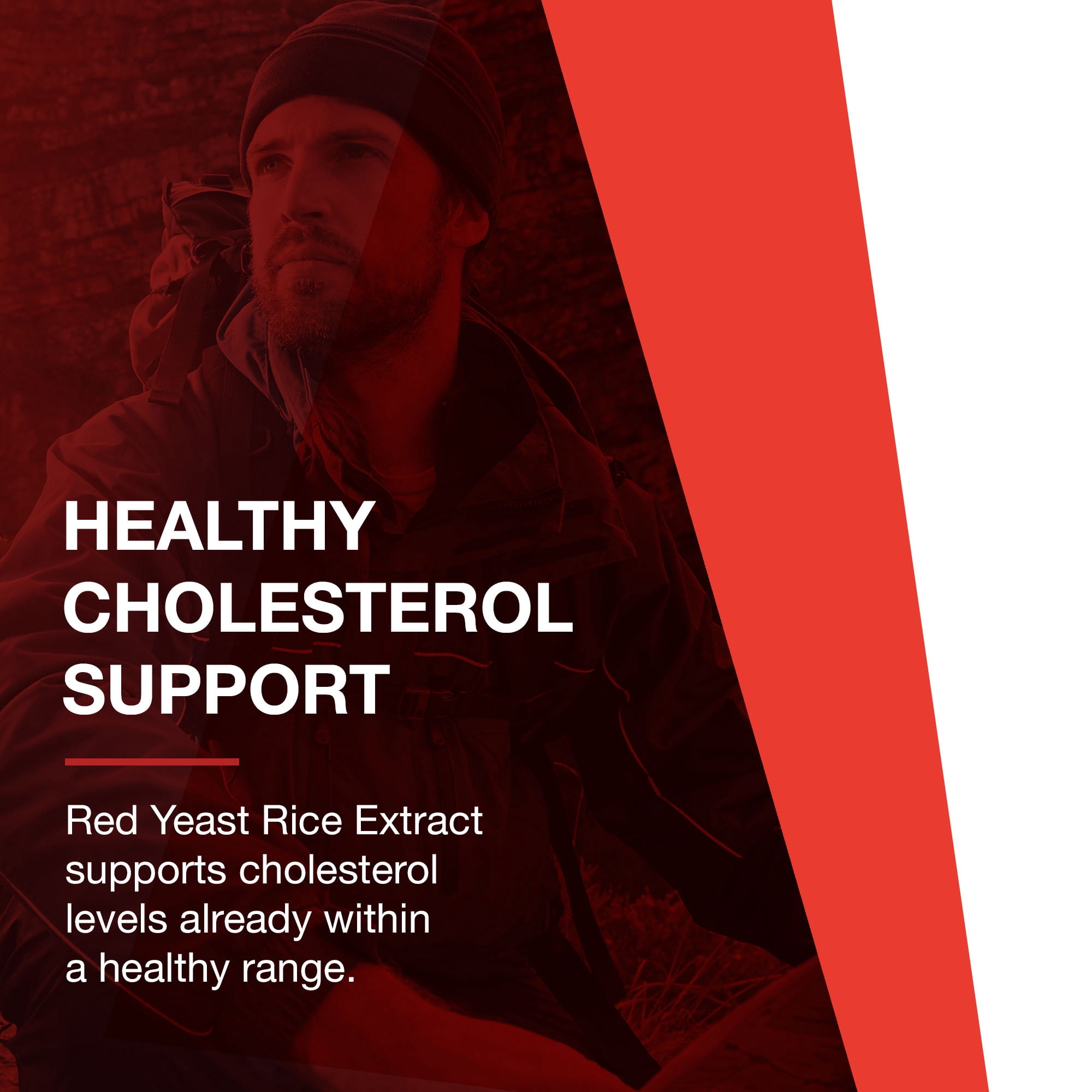 Protocol for Life Balance Red Yeast Rice Extract 600 mg - Traditional Herbalism - 90 Veg Caps