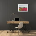 thumbnail image 3 of Jaynes Gallery 32x23 White Modern Wood Framed Museum Art Print Titled - Europe-The Netherlands-Tulip field in the Beemster area, 3 of 4