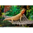 thumbnail image 4 of Penn-Plax Reptology Lizard Lounger Corner Triangle Terrarium Decor for Reptiles – Seagrass – Small, 4 of 9