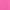 Bright Pink, variant on Pet Dog  Cat Shirt Screen Printed, "Aloha Flower"