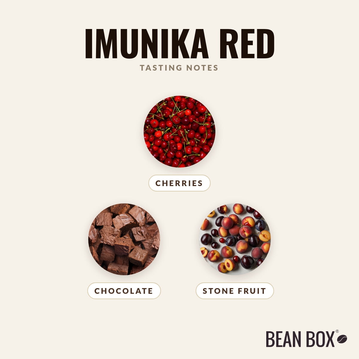 Imunika Red - Roasted by Imunika - Freshly Ground Coffee - 8oz Bag
