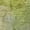 Aloe, variant on Addison Rugs Dream Shag Premium Machine Washable Transitional Modern Aloe Rectangle Rug, 10' x 14'