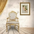 thumbnail image 3 of Vision Studio 18x24 Gold Ornate Wood Framed with Double Matting Museum Art Print Titled - Botanical Array V, 3 of 4
