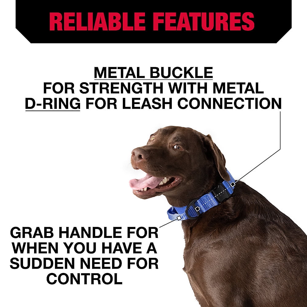 KONG Ultra Durable Padded Comfort Handle Dog Collar ( Blue) M