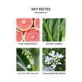 thumbnail image 3 of Nest New York Wall Diffuser Set Grapefruit - Includes 1 Diffuser Unit + 1 Refill - Up To 30 Days Of Continuous Scent - Cruelty Free Vegan - Made In Usa, 3 of 4