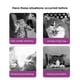 thumbnail image 5 of Maojin 48ML 1 difusor 1 feromonas líquidas calmantes estabilizador de emociones calefacción eléctrica antiestrés juego de agente calmante de feromonas calmantes para gatos, 5 of 5