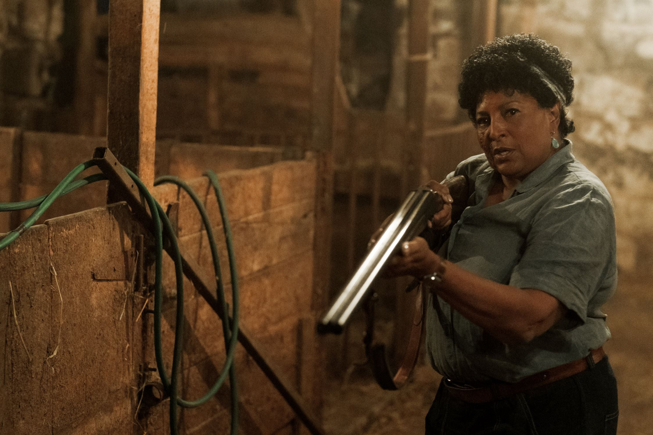 Pet Sematary (2019)/Pet Sematary: Bloodlines 2-Movie Collection (DVD)
