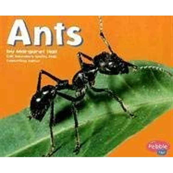 Pre-Owned Ants (Pebble Plus; Bugs, Bugs, Bugs) (Paperback) 0736850945 9780736850940