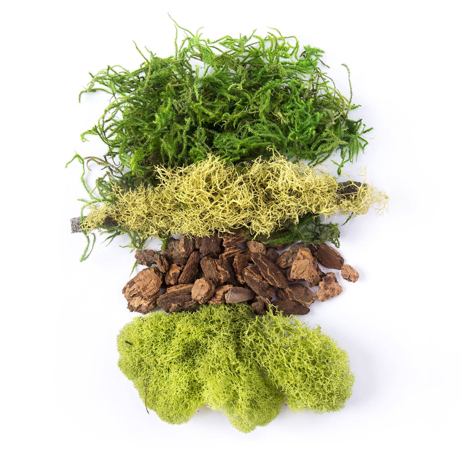SuperMoss Preserved Mixed Moss, 24 Pack