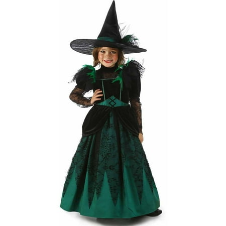 Wizard of Oz Deluxe Wicked Witch of the West Girls' Child Halloween