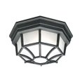 thumbnail image 2 of Thomas OUTDOOR ESSENTIALS ceiling lamp, 2 of 2