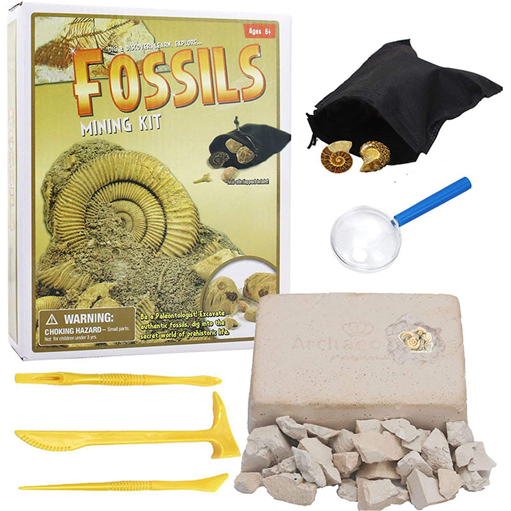 Kids Gemstone Dig Kit Gem Fossils Digging and Excavation Kit DIY Set Mining Crystal Gems