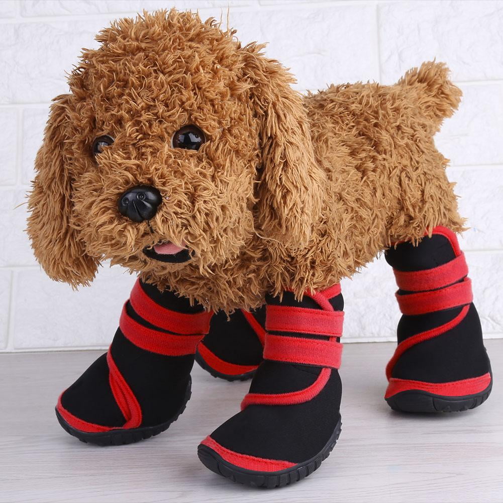 protective dog boots