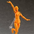 thumbnail image 2 of Tholdsy Juguetes modelo de cuerpo humano de PVC con exquisitos juguetes cognitivos científicos para niños, muñeca Kun, elección de regalo pinturas macho naranja, 2 of 6