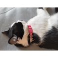 thumbnail image 5 of Rhinestone Cat Collar Breakaway with Bell Safety Buckle, Adjustable Diamond Girl Boy Kitty Cute Comfy Collar for Kitten Tiny Little Pets Rabbits, 5 of 5