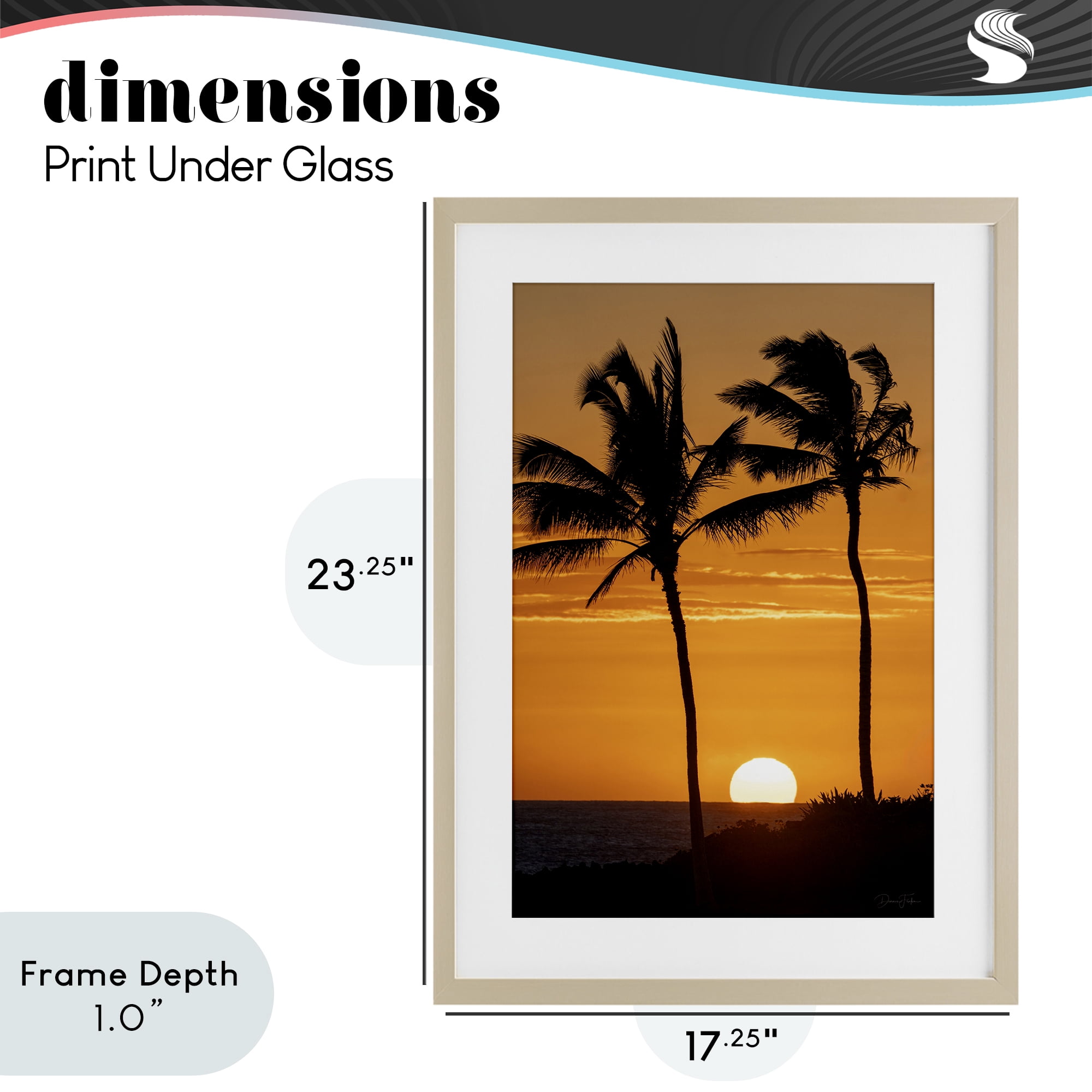Stupell Industries Sunset Through Palm Trees Birch Framed Print Under Glass, design by Dennis Frates