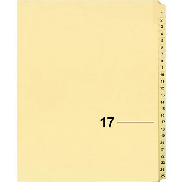 Davisgroup B1125-17 Diviseur d'Indice d'Un Litige Numérique Individuel 17 - 1 Chaque