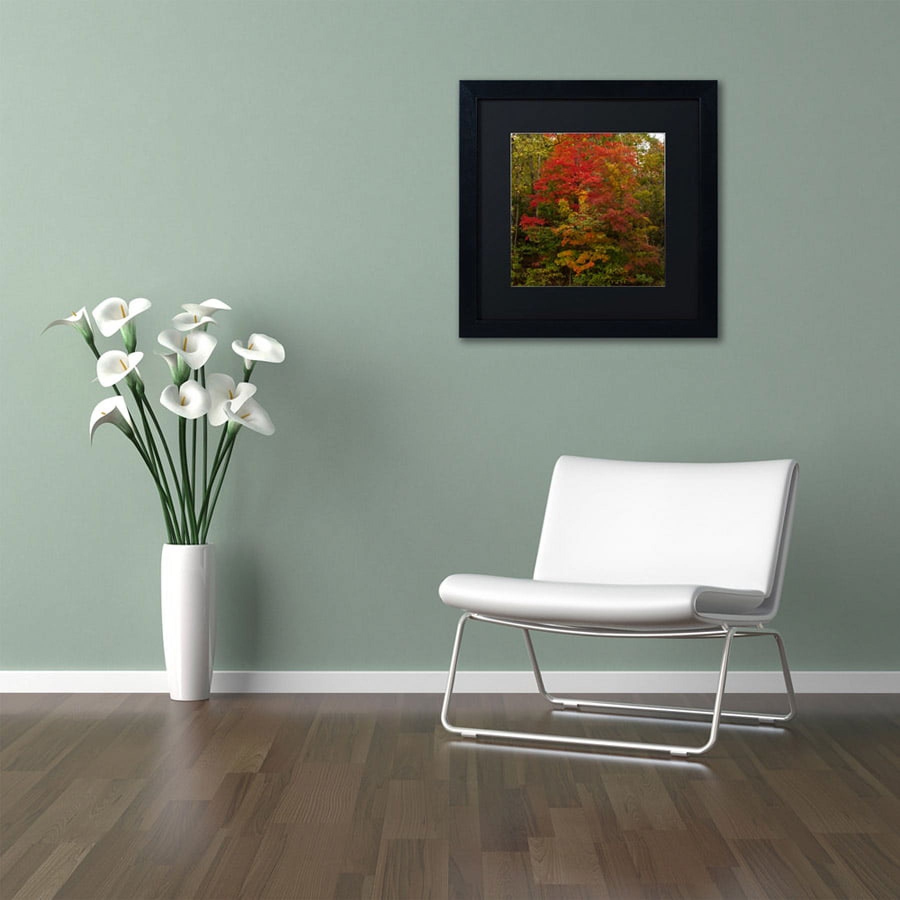 Trademark Fine Art "Why I Love Autumn 2" Canvas Art by Kurt Shaffer, Black Matte, Black Frame