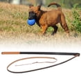 thumbnail image 3 of Palo de entrenamiento para mascotas, látigo de entrenamiento para perros, productos de cuero para mascotas, ayudas para el entrenamiento de perros, elegante y moderno, 3 of 8