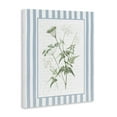 thumbnail image 3 of Stupell Industries Vintage Herbs Blue Stripes Canvas Wall Art design by Lettered and Lined, 20 x 16, 3 of 7