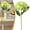 Light Green, variant on Artificial Hydrangea Flowers, Navy Blue Silk Hydrangea with Lifelike Leaves and Flexible Wire Stem, 23.62 Inch Faux Floral for Vase Wedding Home Decor