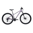 thumbnail image 1 of Bicicleta Industries 900 SL B1 R29 T15 Rosa Gris, 1 of 8