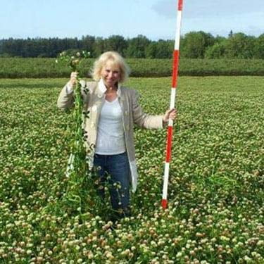 Outsidepride Fixation Balansa Clover Seeds for Lawn - 5 lbs. Coated & Inoculated, Cold Season, Drought Tolerant Cover Crop Seeds, Ideal for Erosion Control, Pasture, & Pollinator-Friendly Garden