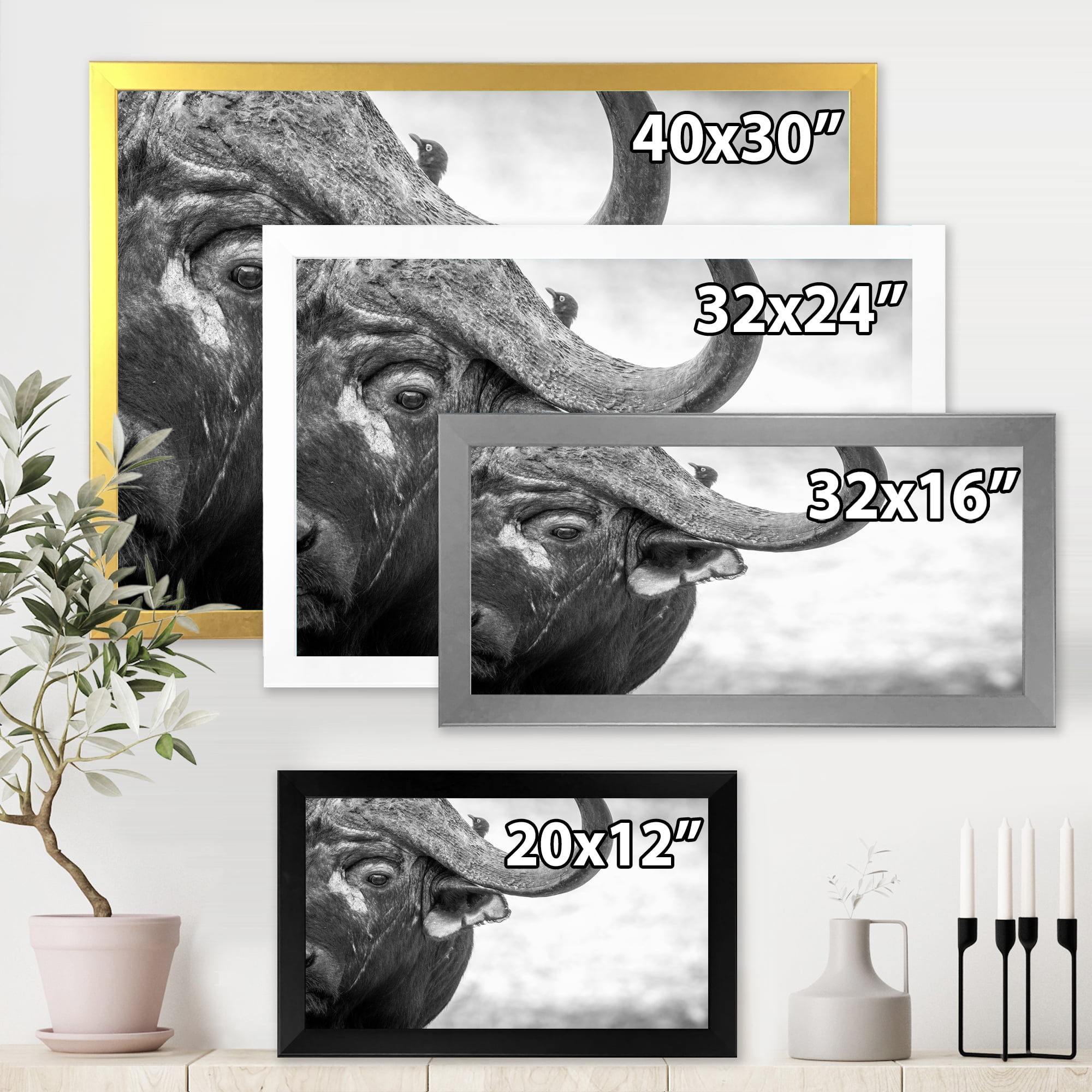 Designart 'Black and White Portrait Of Buffalo III' Farmhouse Framed Art Print