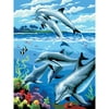 Royal Brush Junior Painting By Numbers, Small, Dolphins