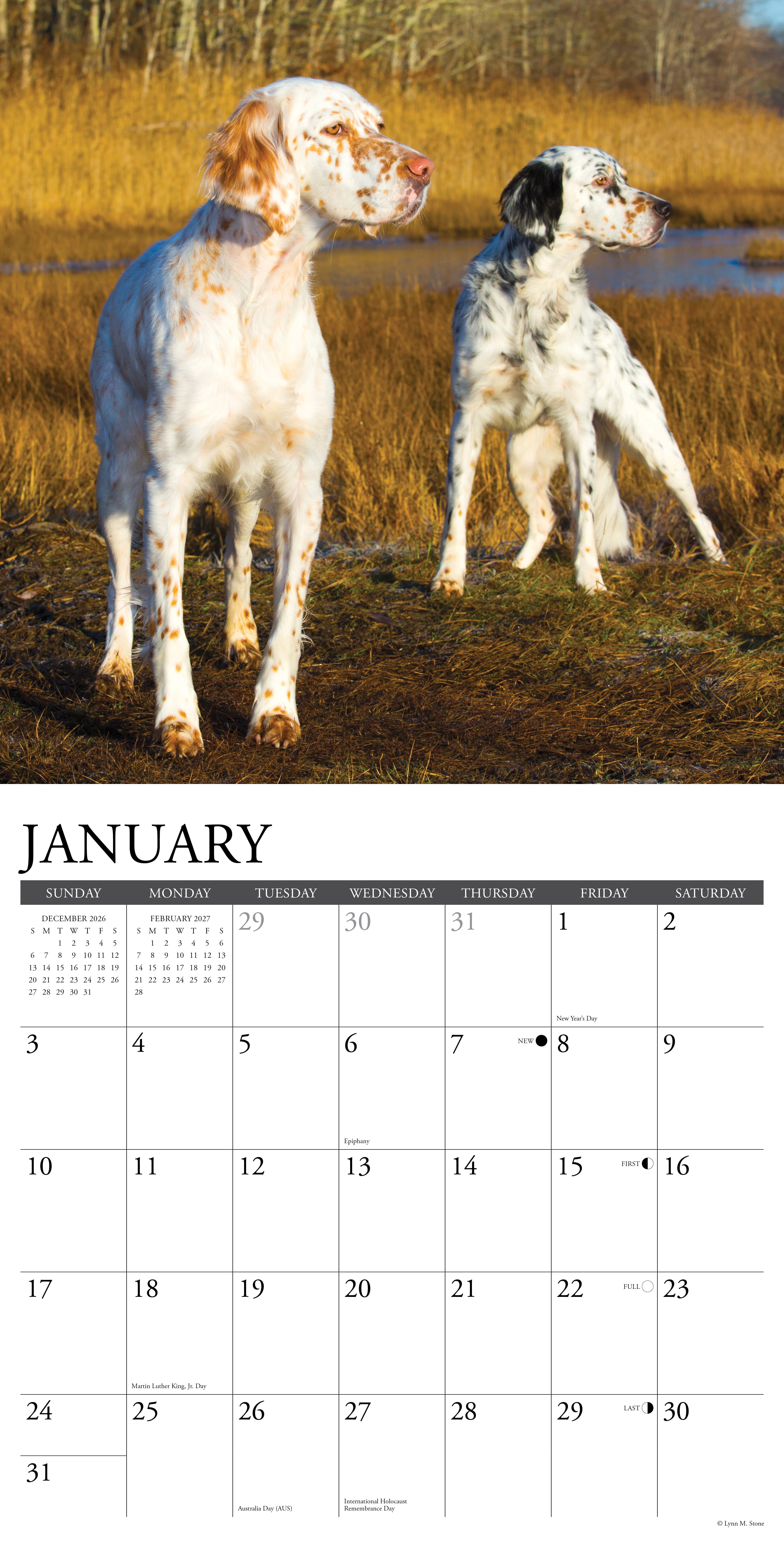 Willow Creek Press, Sporting Dogs 2027 Wall Calendar