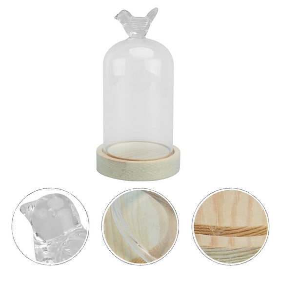 UPKOCH Clear Glass Dome for Decorative Display with Bird Design Perfect for Showcasing Flowers and Collectibles