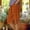 (Fashion 57)Orange, variant on Women's Straight Leg Side Slit Checkered Print Five Quarter Pants with Pockets Summer Loose and Casual Short Pants