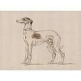 thumbnail image 2 of James Seymour 14x11 Black Ornate Wood Framed Double Matted Museum Art Print Titled: A Greyhound, Facing Left, 2 of 5