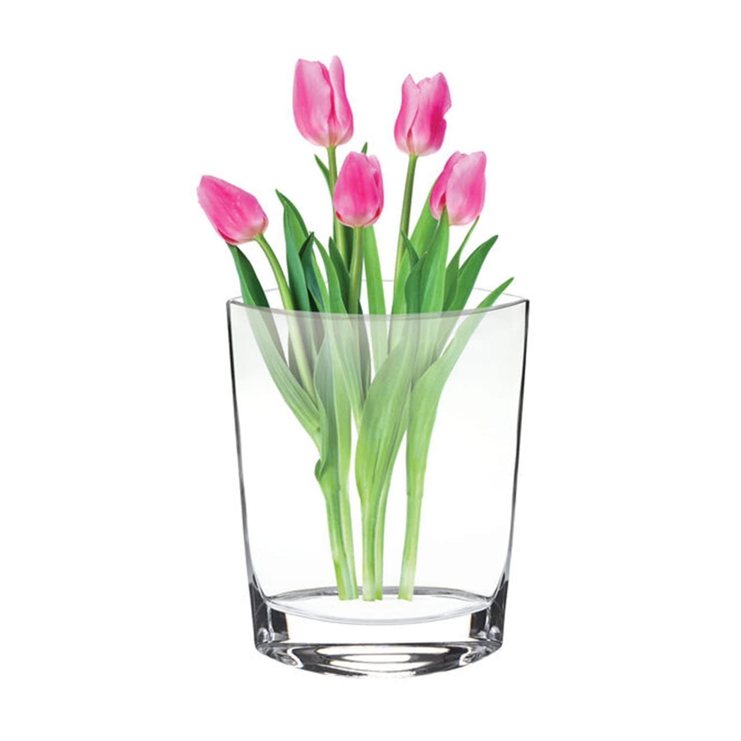 Elegant Clear Crystal Pocket-Shaped Table Vase - 11 Inches