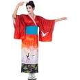 thumbnail image 1 of Costume de Geisha - Femme, 1 of 3