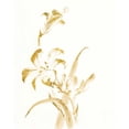 thumbnail image 3 of Paschke, Chris 12x14 Black Modern Framed Museum Art Print Titled - Sumi Daylily II Gold, 3 of 5