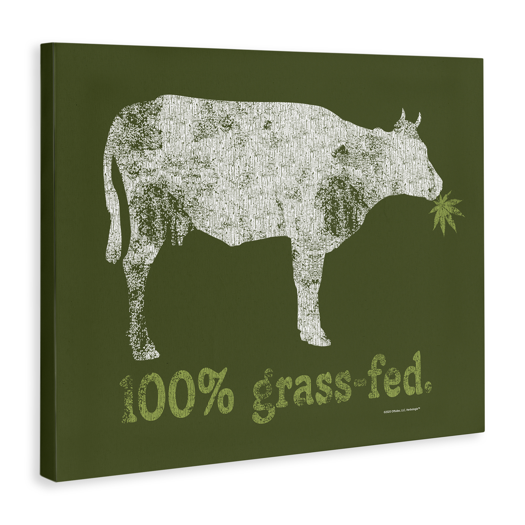 Stupell Industries Grass Fed Cow Animals Painting Wrapped Canvas Art Print Wall Art, 20 x 16