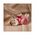 thumbnail image 1 of Chihuahua Decorative Napkins Set of 4, Photo of Puppy Wearing Kilt Lying on Its Back, Silky Satin Fabric for Brunch Dinner Party, 12", Pale Chocolate Vermilion, by Ambesonne, 1 of 2