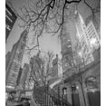 thumbnail image 3 of Black and White Duvet Cover Set, Chicago City Downtown Nighttime Highrise Buildings Tree Branches, Decorative 3 Piece Bedding Set with 2 Pillow Shams, King Size, Grey Black White, by Ambesonne, 3 of 3