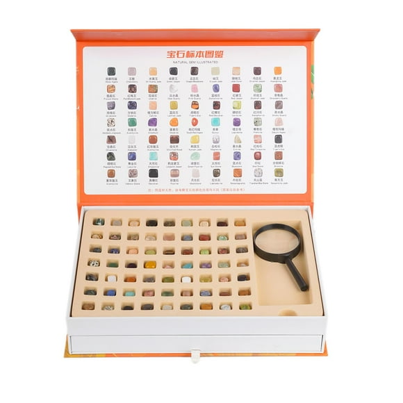 KLKCMS Rock Collection for Kids with magnifying glass, Flashlight, Tweezers Ornament